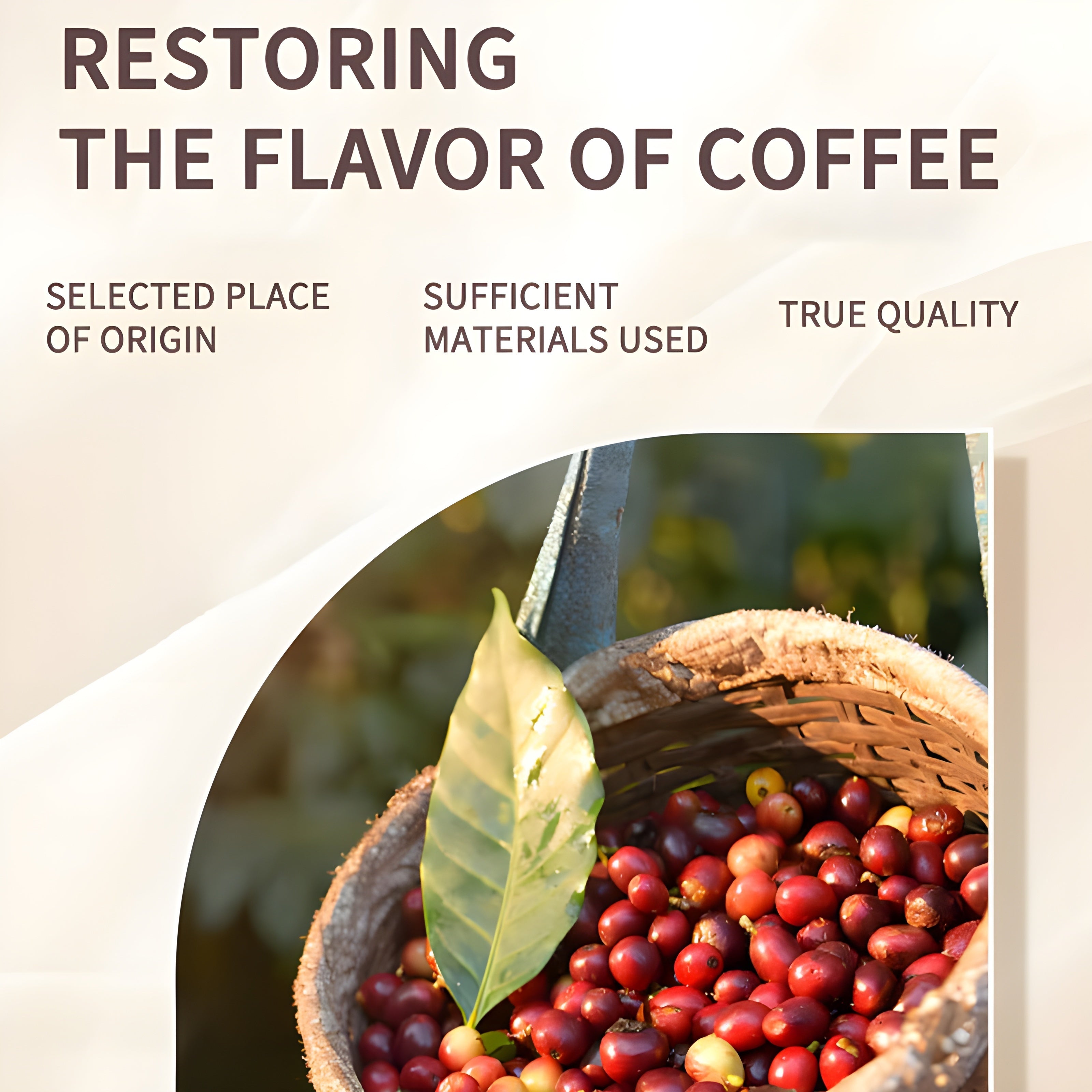 1/2/3 Pack - Mushroom Coffee, A Non-dairy Coffee Substitute