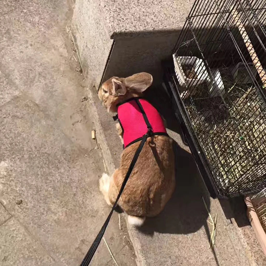 Vest Harness Leash For Small Animals