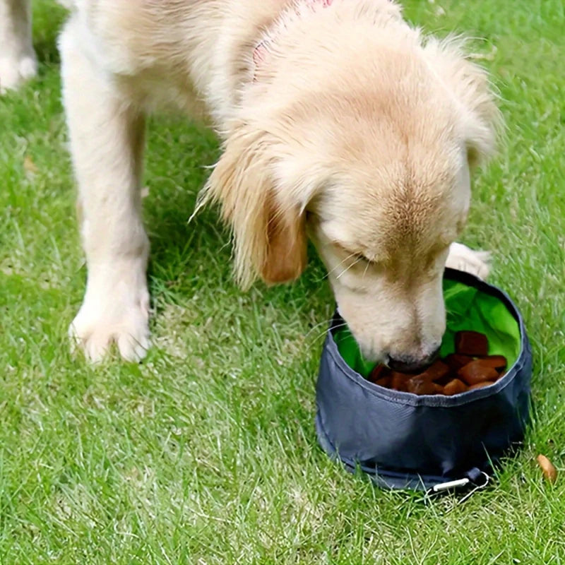 Collapsible Food And Water Pet Bowls