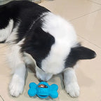 Bite-resistant, Wear-resistant, Interactive Treat Toy