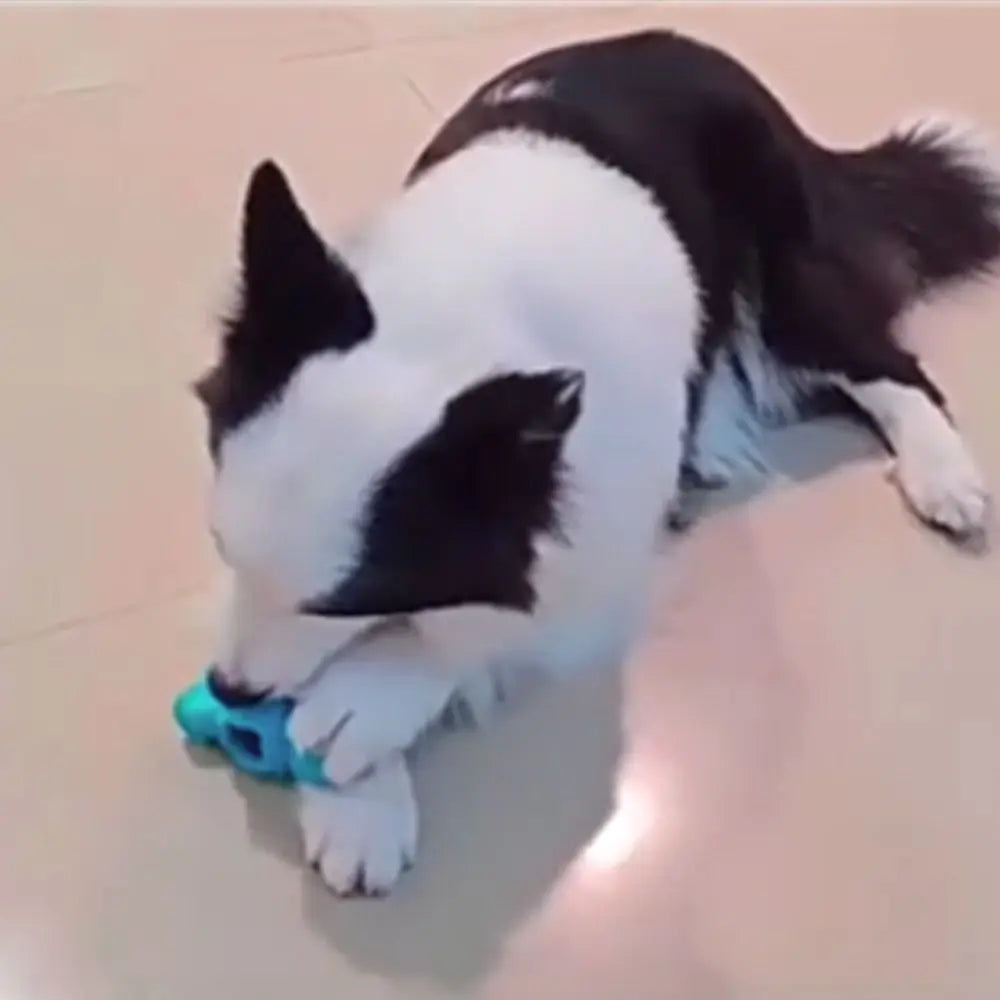 Bite-resistant, Wear-resistant, Interactive Treat Toy