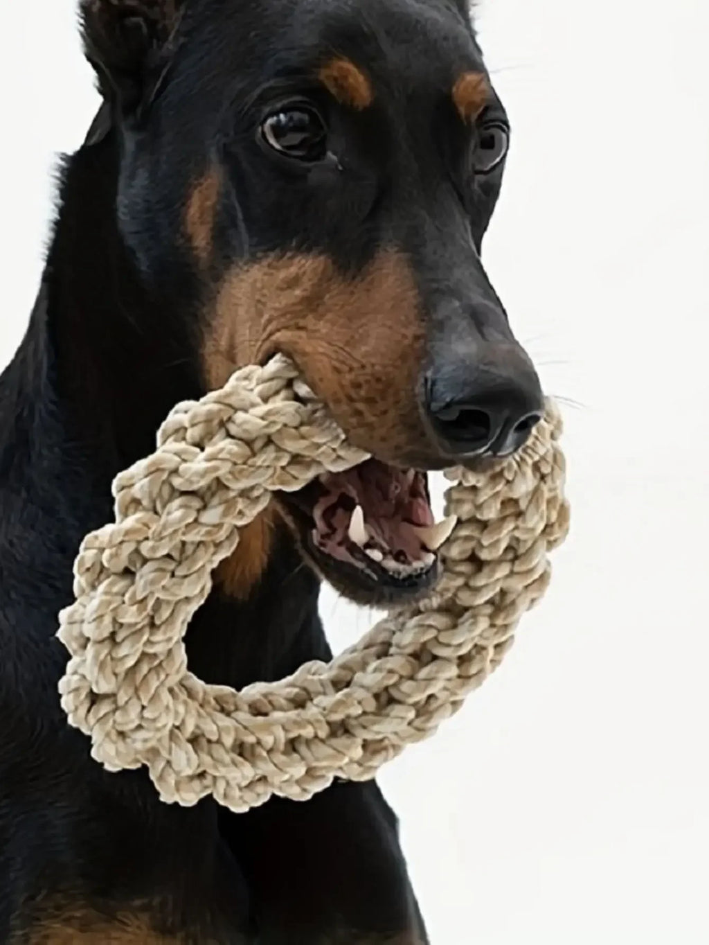 Durable  Bite Resistant Pet Toys