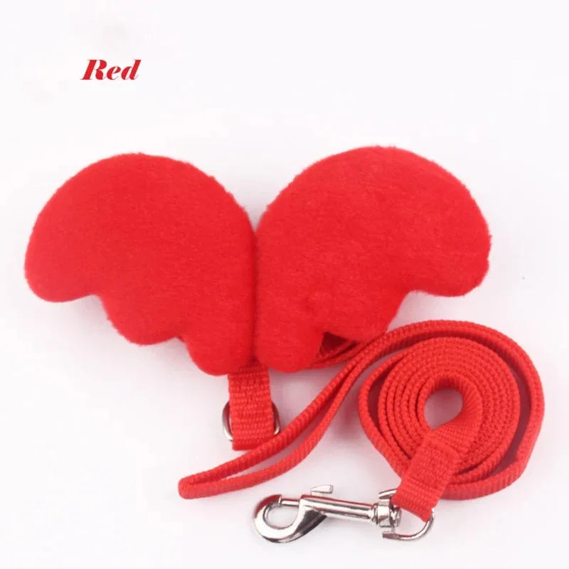 Goods Kittens Accessories Pets Collar, Harness, Leash