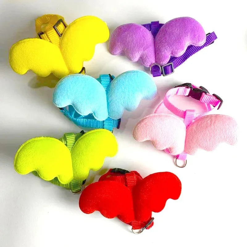 Goods Kittens Accessories Pets Collar, Harness, Leash