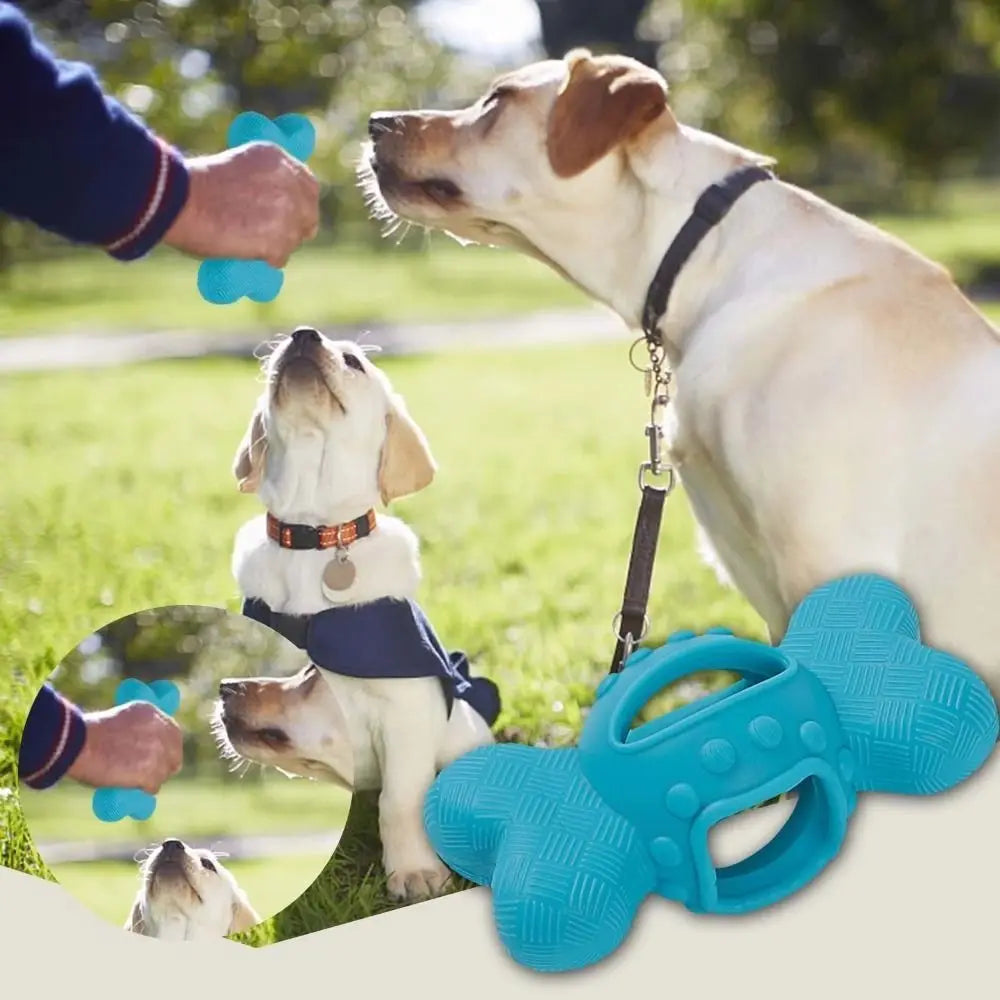 Bite-resistant, Wear-resistant, Interactive Treat Toy