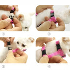Goods Kittens Accessories Pets Collar, Harness, Leash